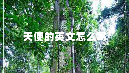 天使的英文怎么寫