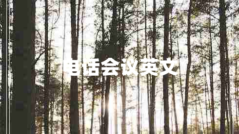 電話會(huì)議英文