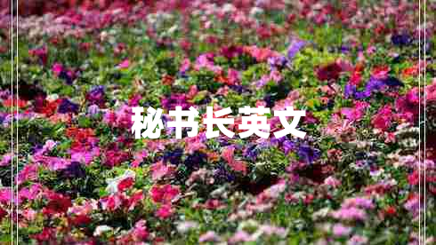 秘書長(zhǎng)英文
