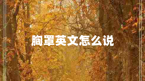 胸罩英文怎么說(shuō)
