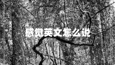 感覺英文怎么說