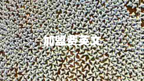 加盟費(fèi)英文