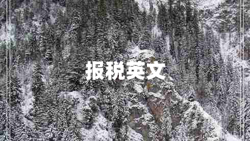 報(bào)稅英文