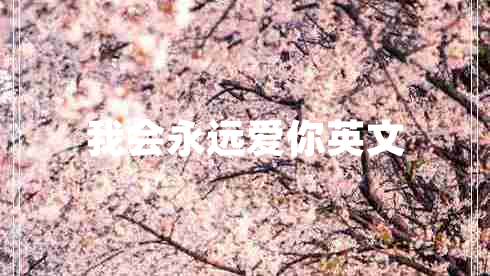 我會永遠(yuǎn)愛你英文