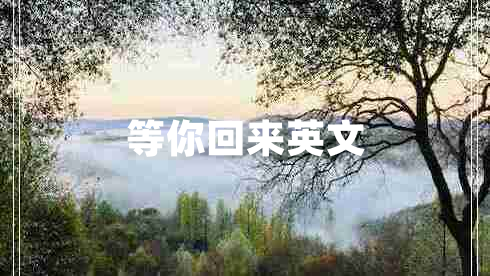 等你回來英文