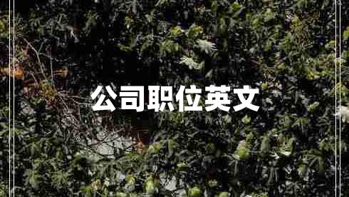 公司職位英文