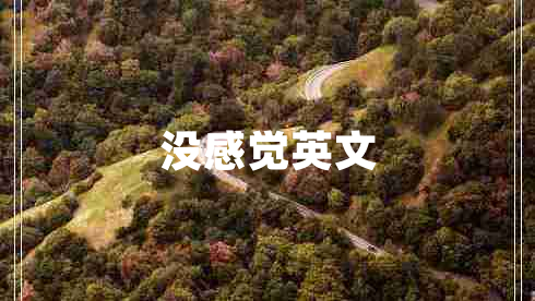 沒感覺英文