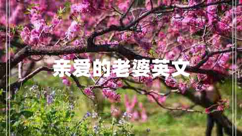 親愛的老婆英文