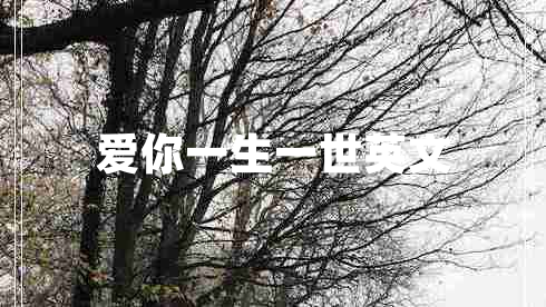 愛(ài)你一生一世英文