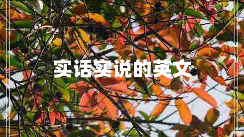 實(shí)話實(shí)說的英文