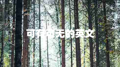 可有可無(wú)的英文