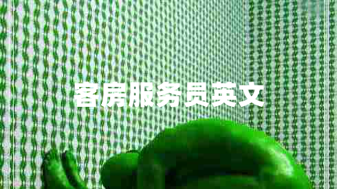 客房服務(wù)員英文