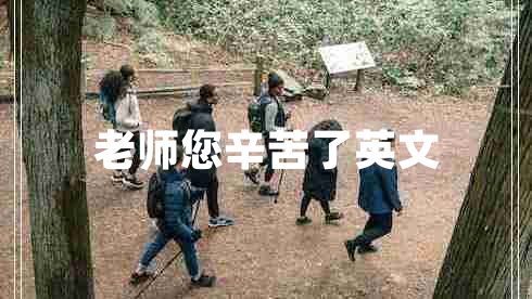 老師您辛苦了英文