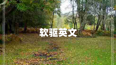 軟驅(qū)英文