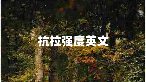 抗拉強(qiáng)度英文 抗拉強(qiáng)度英文