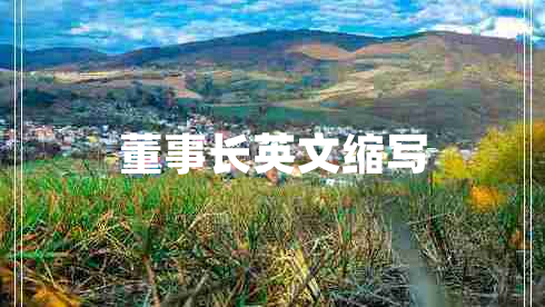 董事長(zhǎng)英文縮寫