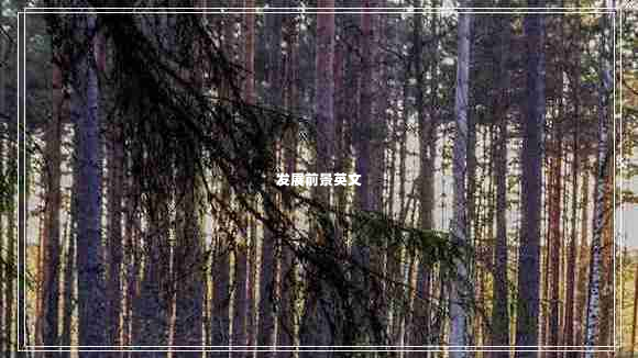 發(fā)展前景英文