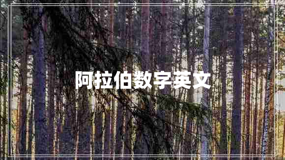 阿拉伯數(shù)字英文 阿拉伯數(shù)字英文