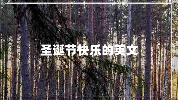 圣誕節(jié)快樂的英文 圣誕節(jié)快樂的英文