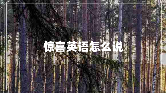 驚喜英語怎么說