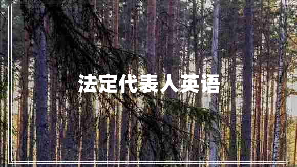 法定代表人英語(yǔ)