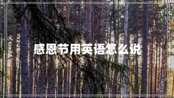 感恩節(jié)用英語怎么說 感恩節(jié)用英語怎么說