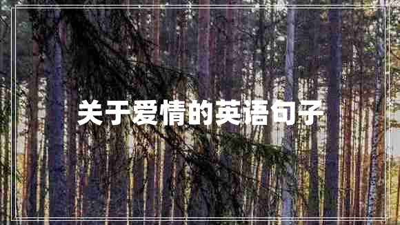 關(guān)于愛情的英語句子 關(guān)于愛情的英語句子