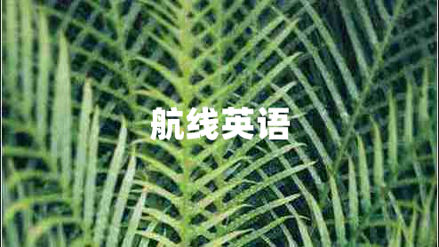 航線英語(yǔ)