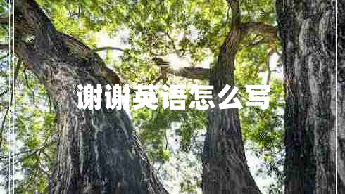 謝謝英語怎么寫