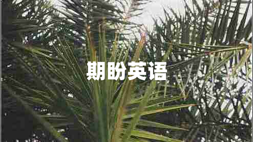 期盼英語(yǔ)