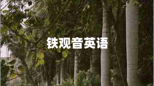 鐵觀音英語 鐵觀音英語