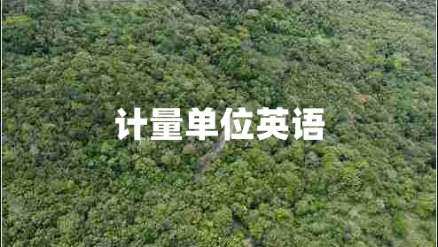 計(jì)量單位英語(yǔ)