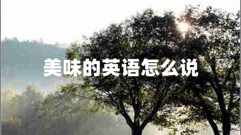 美味的英語(yǔ)怎么說(shuō) 美味的英語(yǔ)怎么說(shuō)