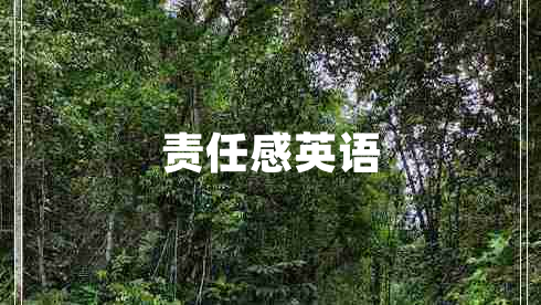 責(zé)任感英語