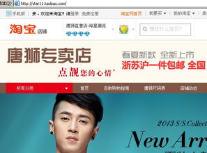 淘寶店鋪策劃方案畢業(yè)論文