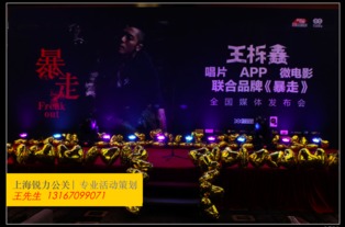 大型公益晚會策劃方案