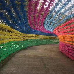 大型風車節(jié)策劃方案書