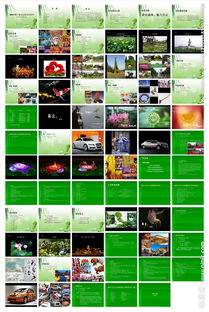 重慶荷花節(jié)策劃方案