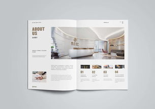 萊西項目策劃方案