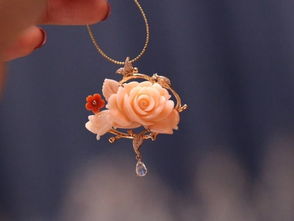 珊瑚保護(hù)策劃方案