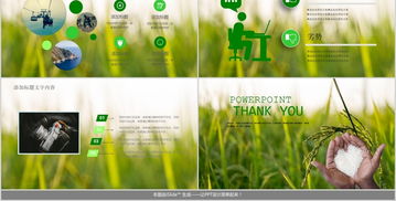 大米營銷策劃方案ppt