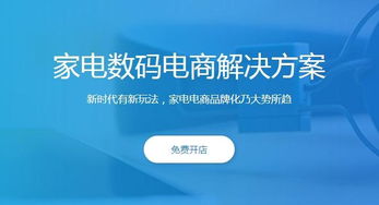 同城購策劃運(yùn)營方案