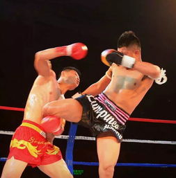 自由搏擊策劃方案梁山