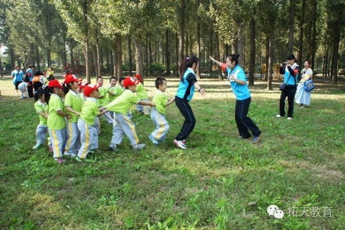 秋游活動策劃方案200字