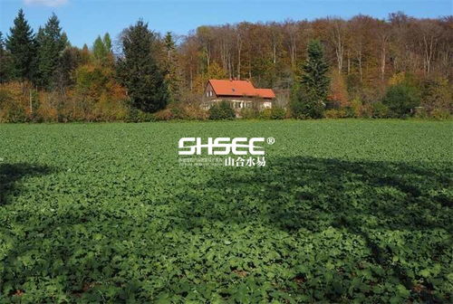 休閑農(nóng)業(yè)項(xiàng)目策劃方案