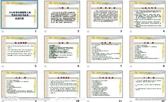 模特大賽策劃方案5篇