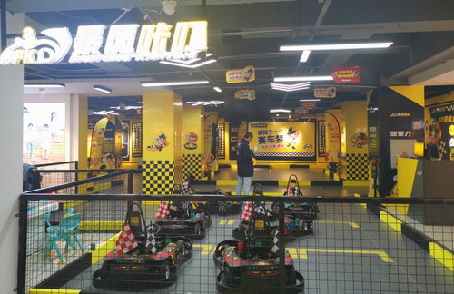 賽車體驗(yàn)館策劃方案