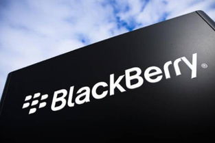 黑莓品牌復興策劃方案