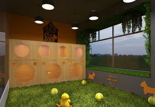 寵物店的市場策劃方案