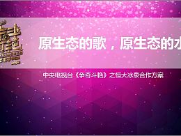 選秀節(jié)目策劃方案